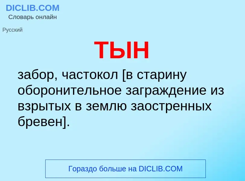 Что такое ТЫН - определение