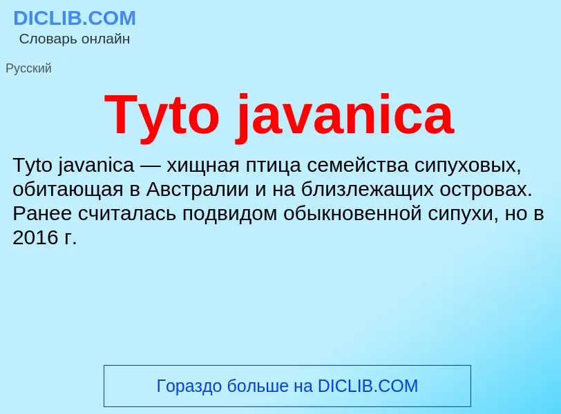 Что такое Tyto javanica - определение