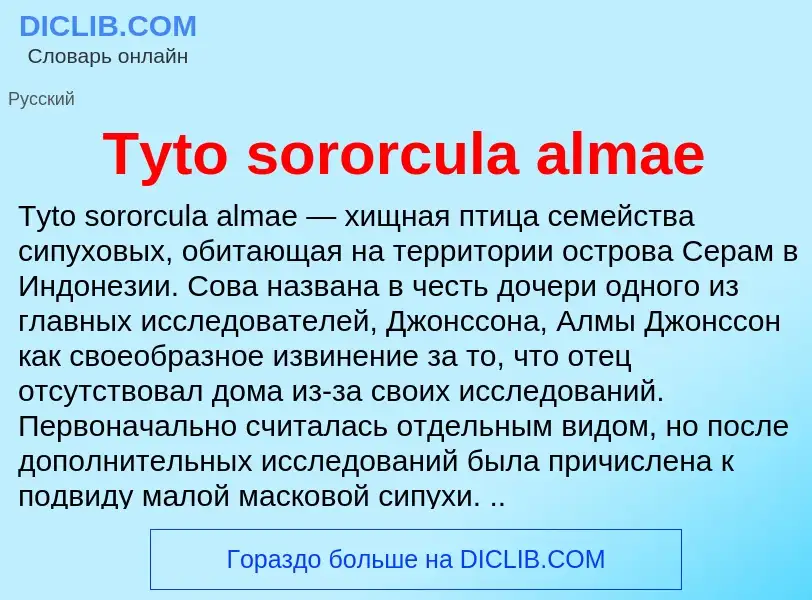 Что такое Tyto sororcula almae - определение