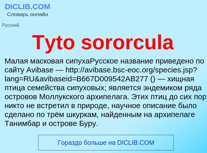 Что такое Tyto sororcula - определение