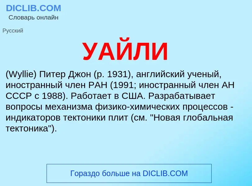 What is УАЙЛИ - definition