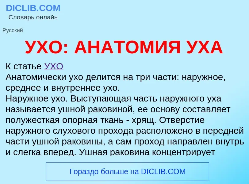 Was ist УХО: АНАТОМИЯ УХА - Definition