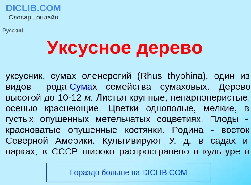 What is <font color="red">У</font>ксусное д<font color="red">е</font>рево - meaning and definition