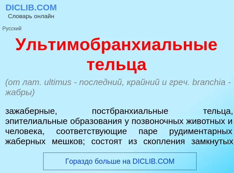 What is Ультимобранхи<font color="red">а</font>льные тельц<font color="red">а</font> - meaning and d