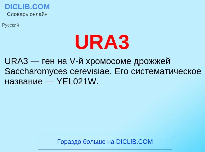 Τι είναι URA3 - ορισμός