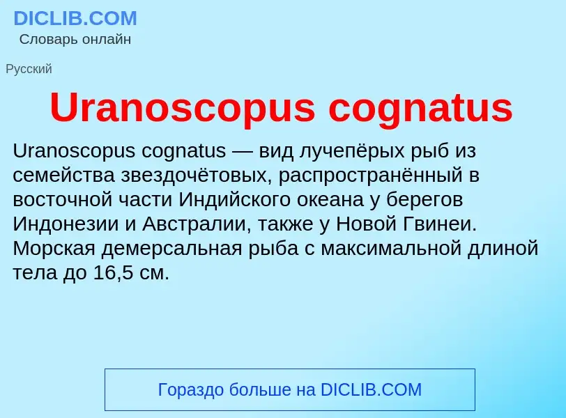 Τι είναι Uranoscopus cognatus - ορισμός