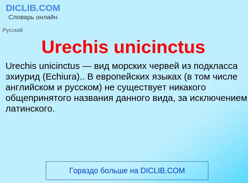 ¿Qué es Urechis unicinctus? - significado y definición