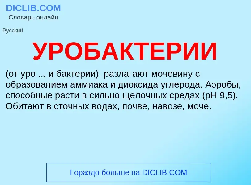 ¿Qué es УРОБАКТЕРИИ? - significado y definición