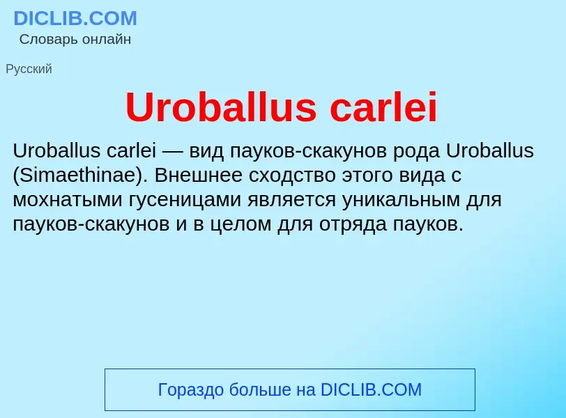 Che cos'è Uroballus carlei - definizione