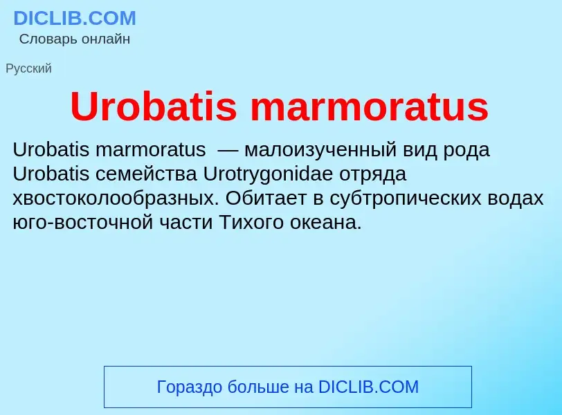 Che cos'è Urobatis marmoratus - definizione