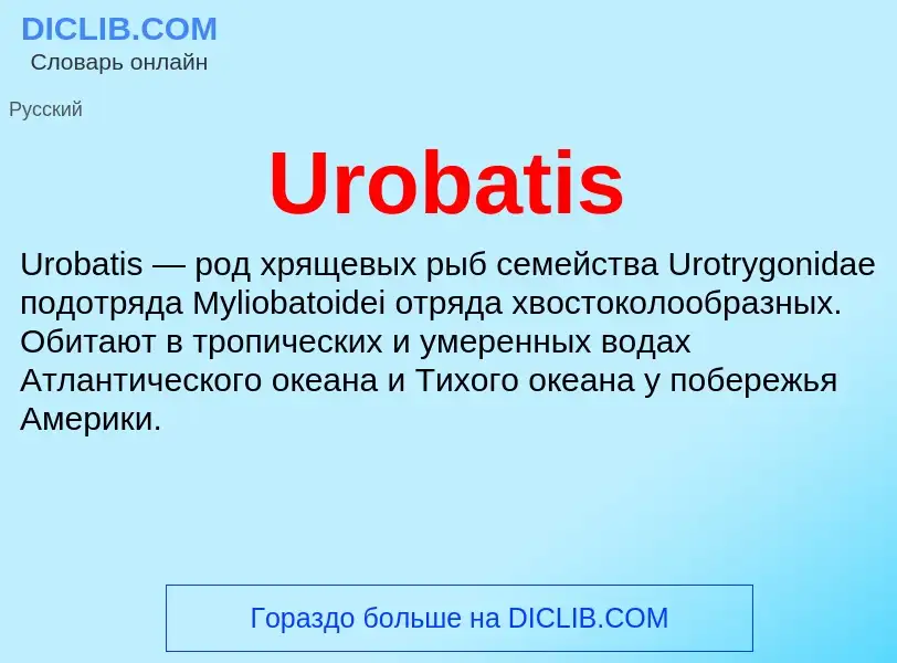 ¿Qué es Urobatis? - significado y definición