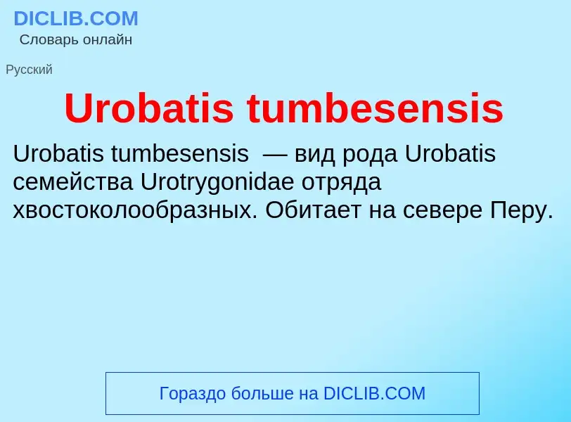 Что такое Urobatis tumbesensis - определение