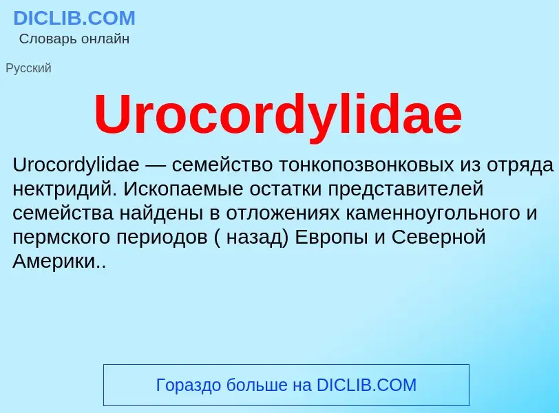 ¿Qué es Urocordylidae? - significado y definición