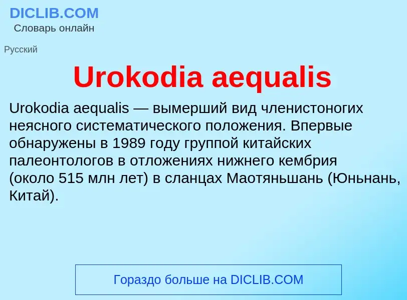 Che cos'è Urokodia aequalis - definizione