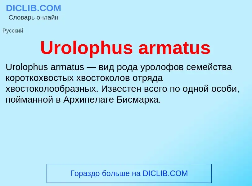 Che cos'è Urolophus armatus - definizione