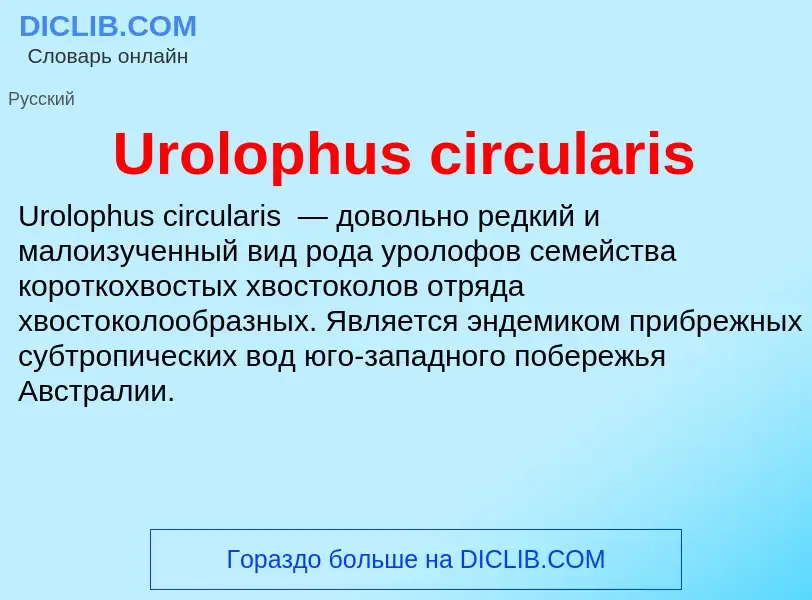 Что такое Urolophus circularis - определение