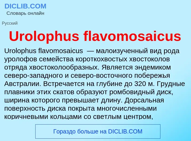 Che cos'è Urolophus flavomosaicus - definizione