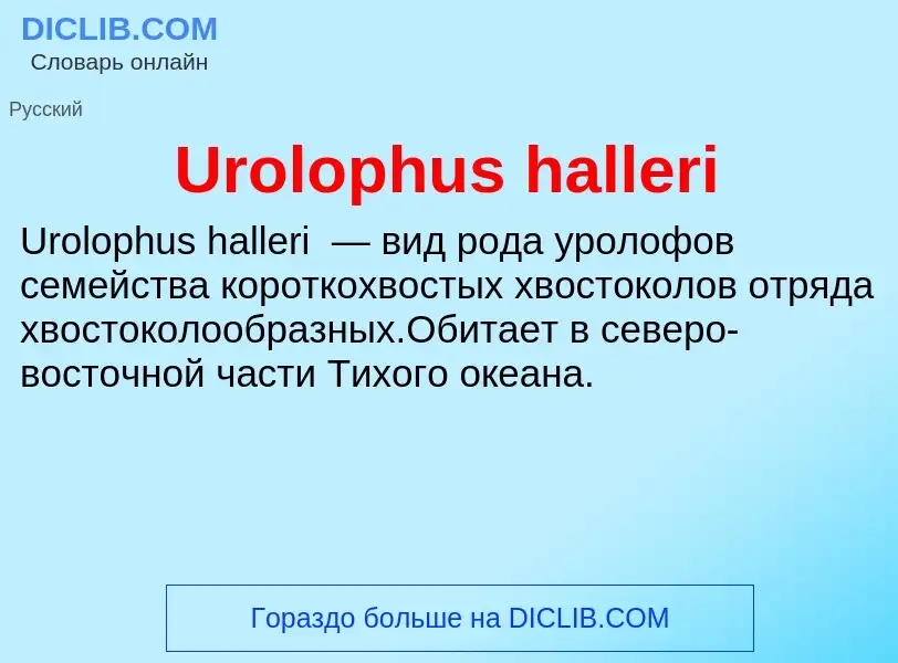 Что такое Urolophus halleri - определение