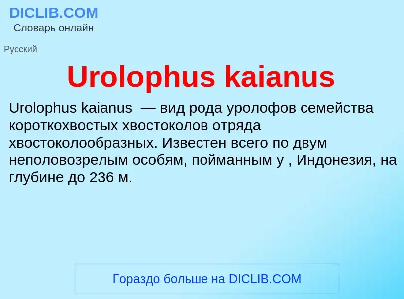 Che cos'è Urolophus kaianus - definizione