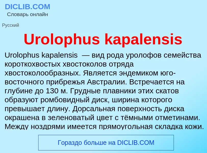 Che cos'è Urolophus kapalensis - definizione