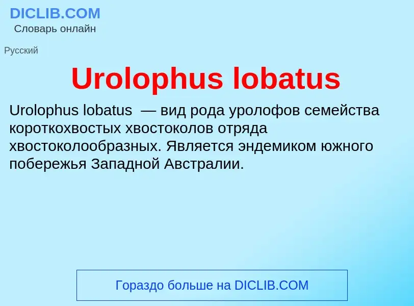 Che cos'è Urolophus lobatus - definizione