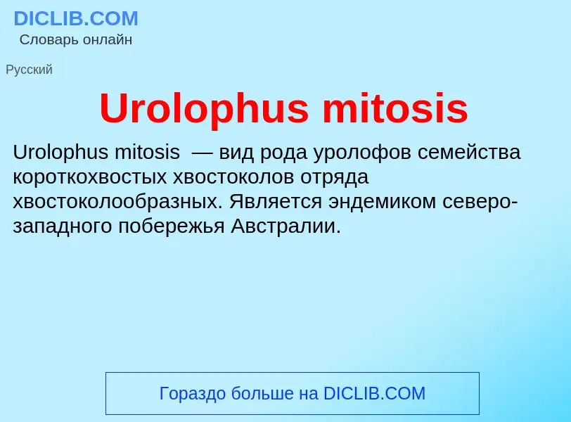 Что такое Urolophus mitosis - определение