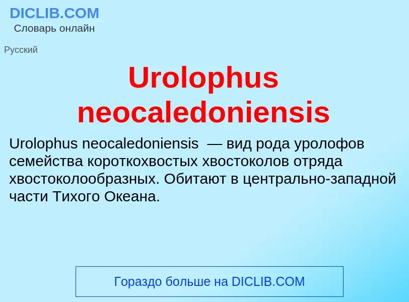 Что такое Urolophus neocaledoniensis - определение