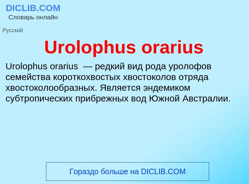 What is Urolophus orarius - meaning and definition