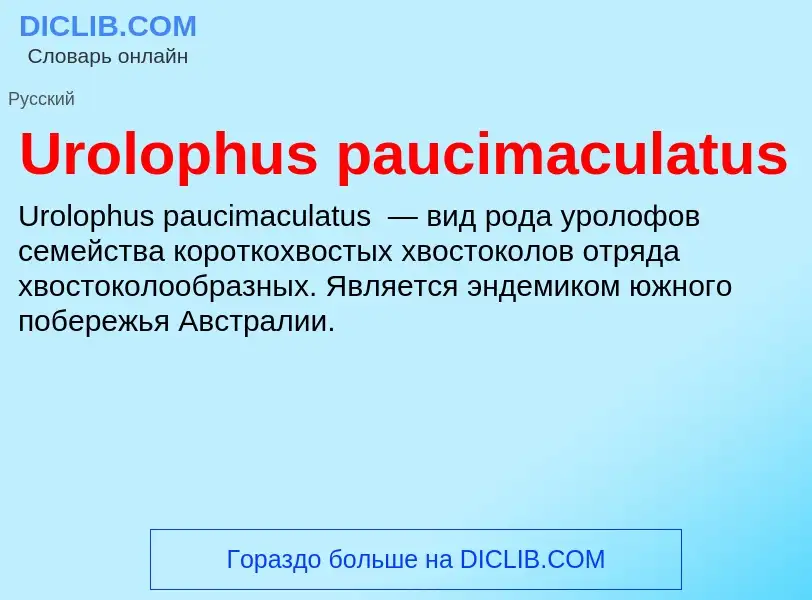 Что такое Urolophus paucimaculatus - определение