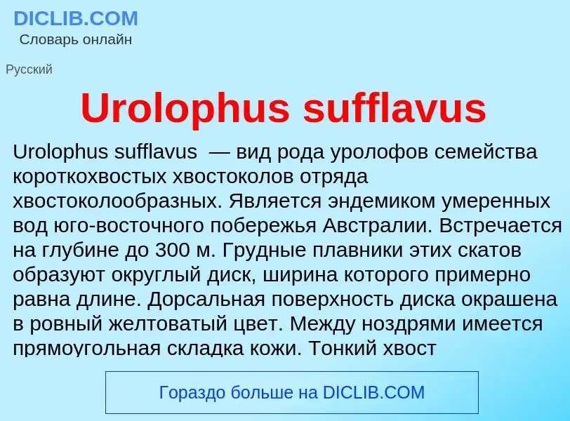 What is Urolophus sufflavus - meaning and definition