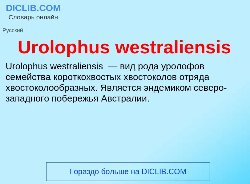 Что такое Urolophus westraliensis - определение