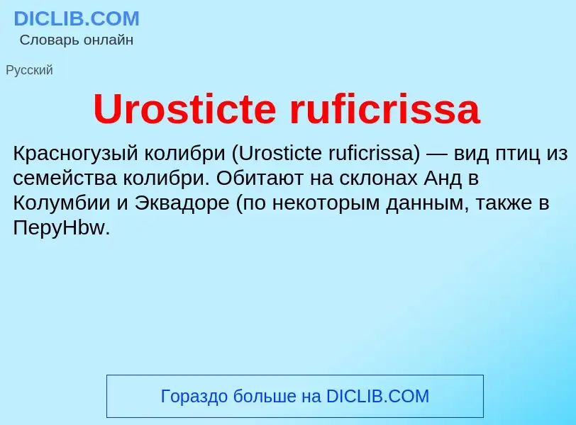 Che cos'è Urosticte ruficrissa - definizione