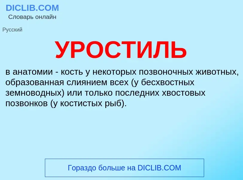 Was ist УРОСТИЛЬ - Definition