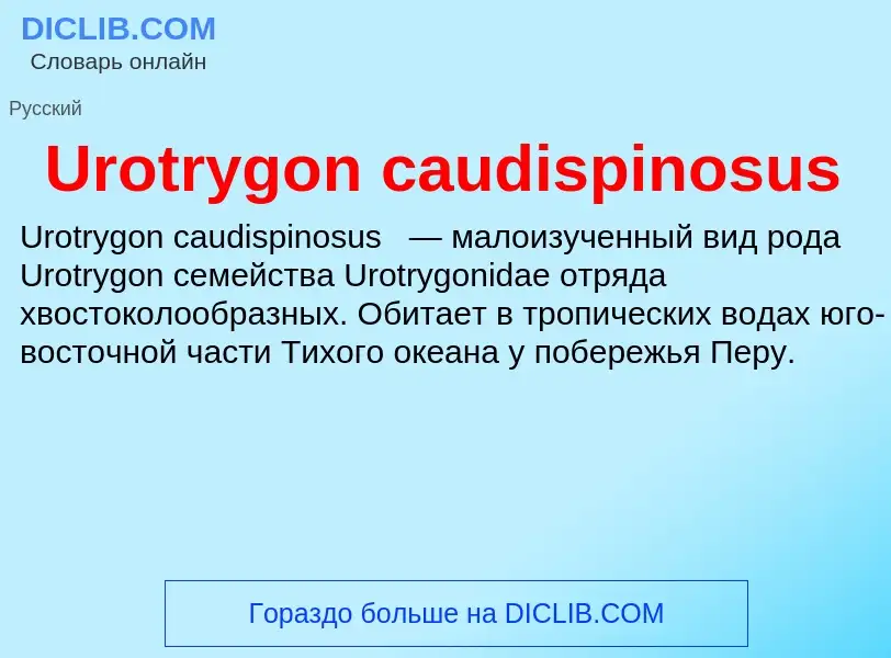 ¿Qué es Urotrygon caudispinosus? - significado y definición