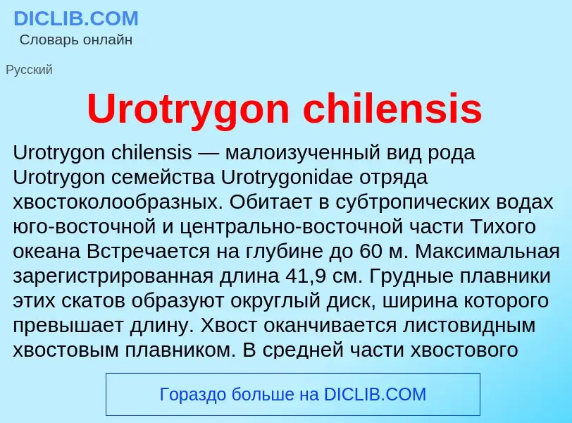 Che cos'è Urotrygon chilensis - definizione