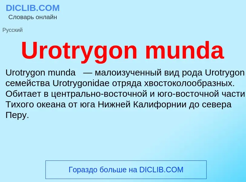 Che cos'è Urotrygon munda - definizione