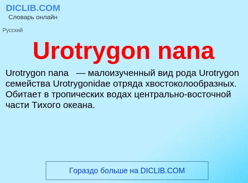 Che cos'è Urotrygon nana - definizione