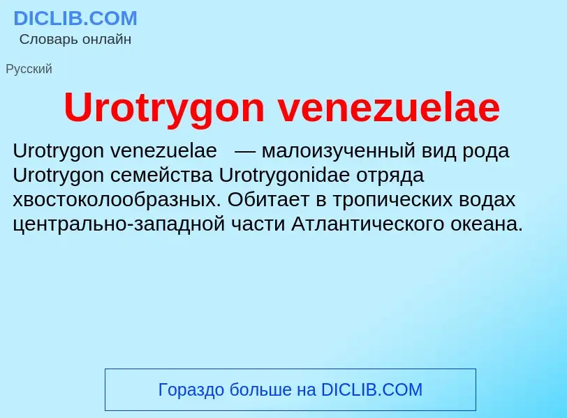 Che cos'è Urotrygon venezuelae - definizione