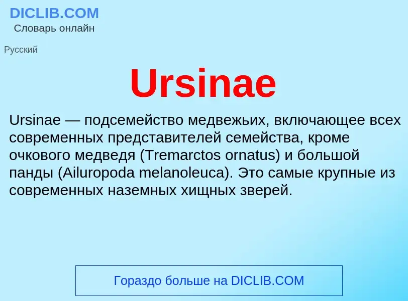 Что такое Ursinae - определение