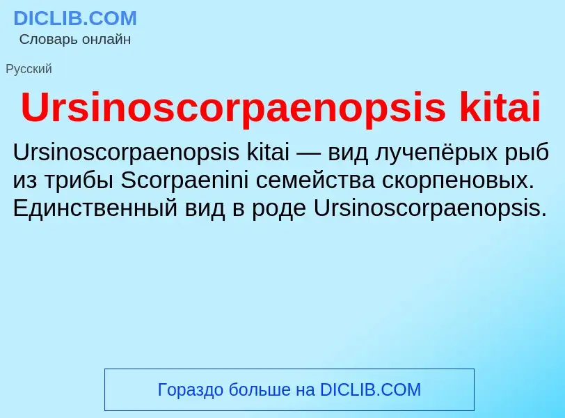 Che cos'è Ursinoscorpaenopsis kitai - definizione