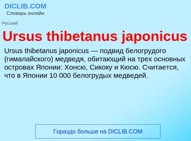 ¿Qué es Ursus thibetanus japonicus? - significado y definición