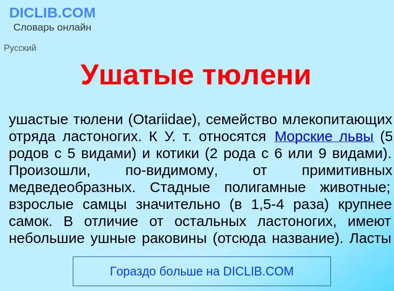 Что такое Уш<font color="red">а</font>тые тюл<font color="red">е</font>ни - определение