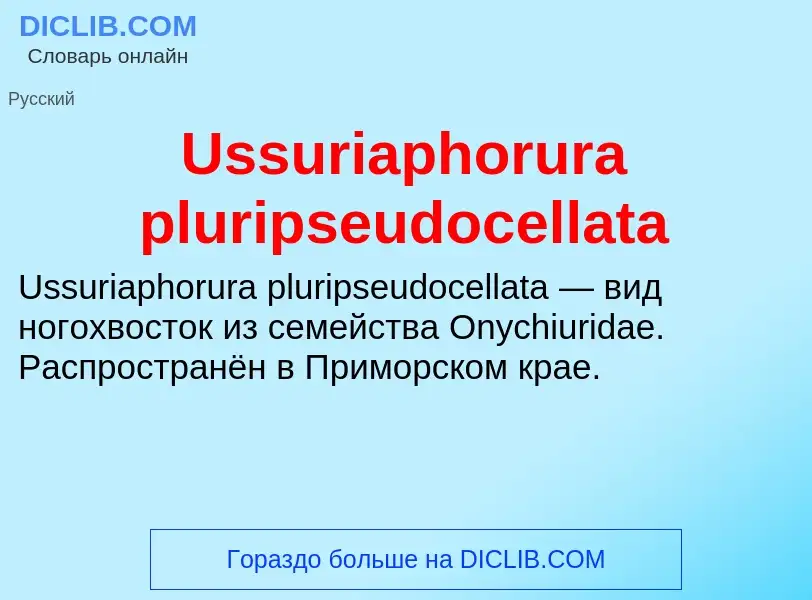 Che cos'è Ussuriaphorura pluripseudocellata - definizione