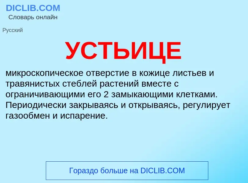 Was ist УСТЬИЦЕ - Definition