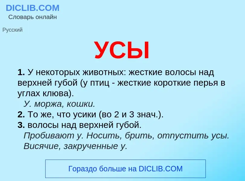 What is УСЫ - definition