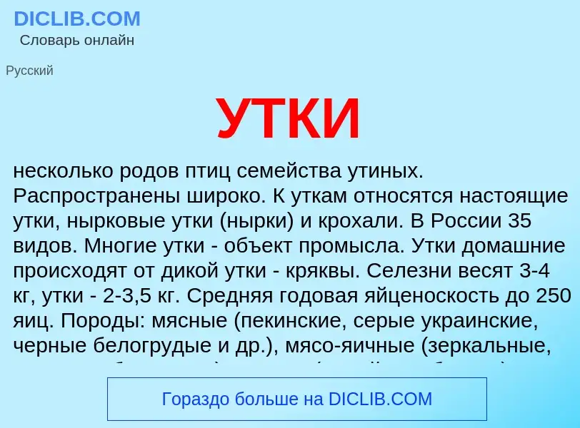 Что такое УТКИ - определение