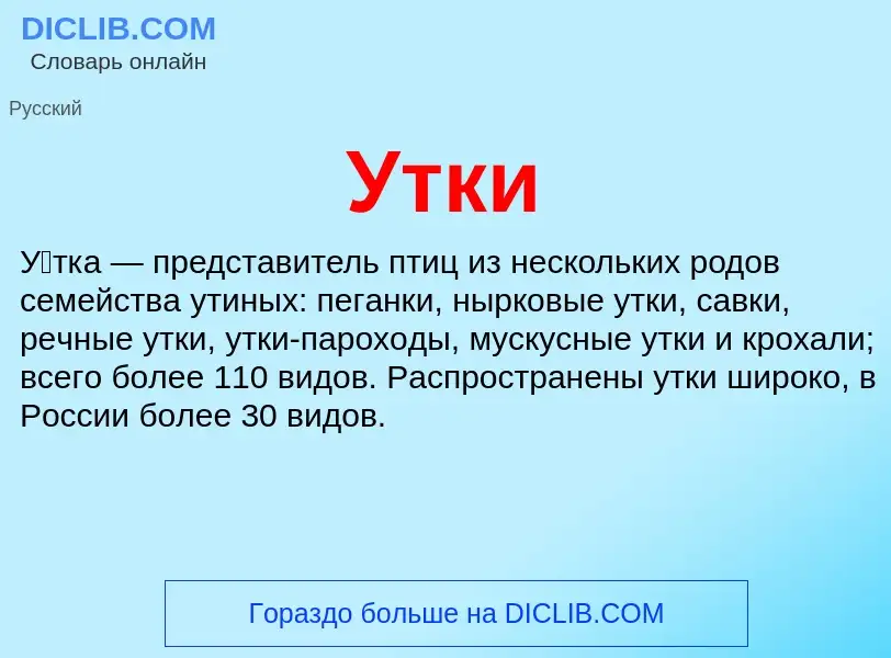 Что такое Утки - определение