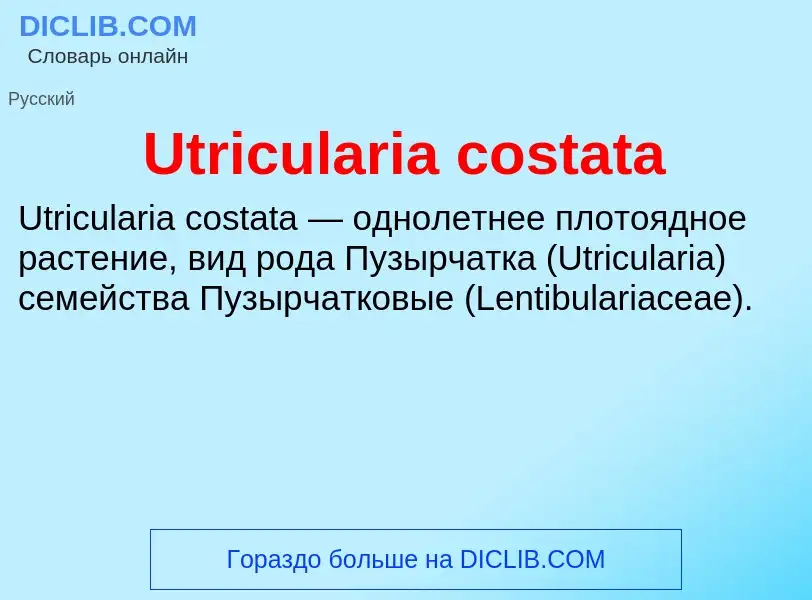 ¿Qué es Utricularia costata? - significado y definición