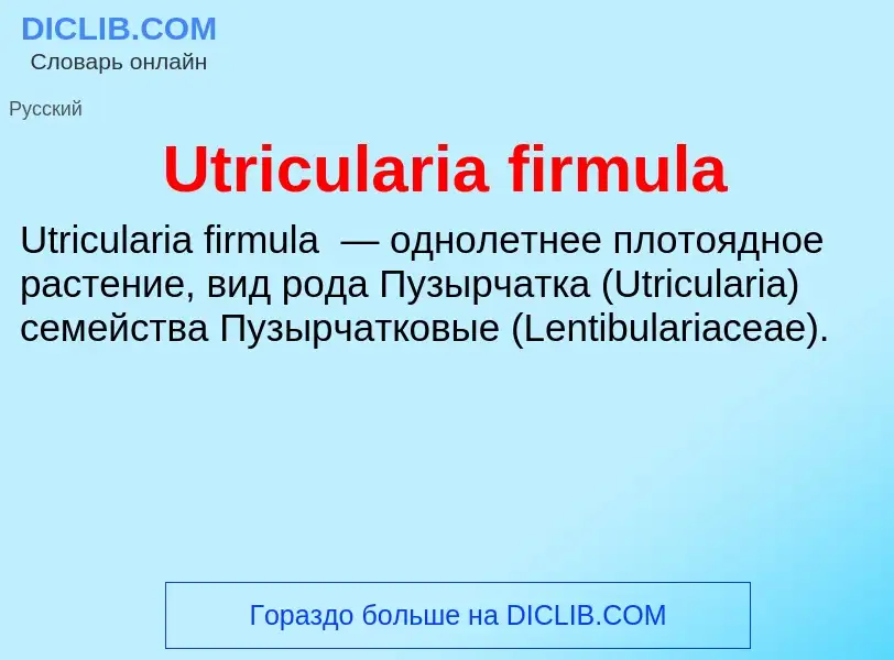 What is Utricularia firmula - definition