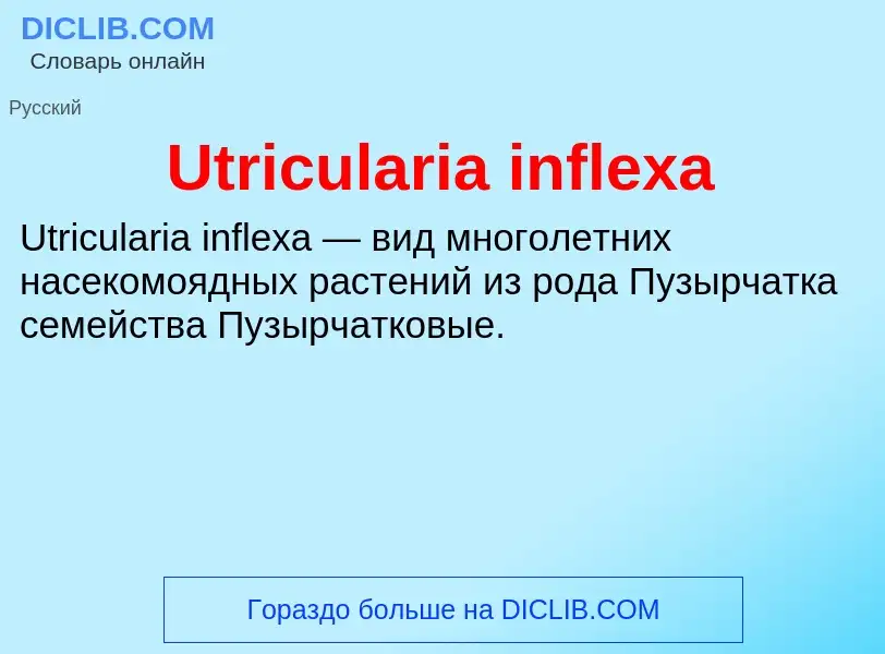 ¿Qué es Utricularia inflexa? - significado y definición